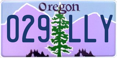 OR license plate 029LLY