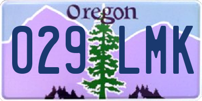 OR license plate 029LMK