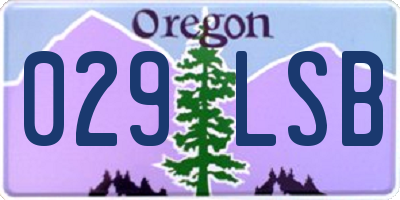 OR license plate 029LSB