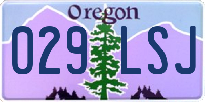 OR license plate 029LSJ
