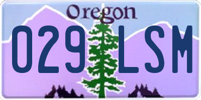 OR license plate 029LSM