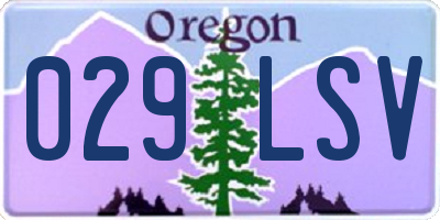 OR license plate 029LSV
