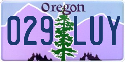 OR license plate 029LUY