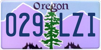 OR license plate 029LZI