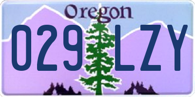OR license plate 029LZY