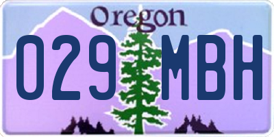 OR license plate 029MBH