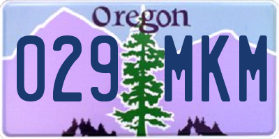 OR license plate 029MKM