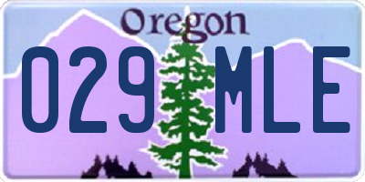 OR license plate 029MLE