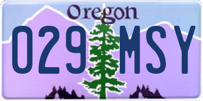 OR license plate 029MSY