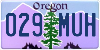OR license plate 029MUH