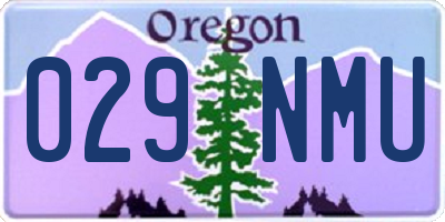 OR license plate 029NMU