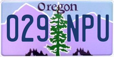 OR license plate 029NPU
