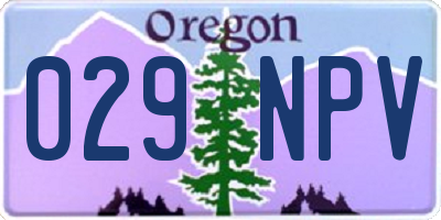 OR license plate 029NPV