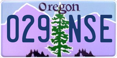 OR license plate 029NSE
