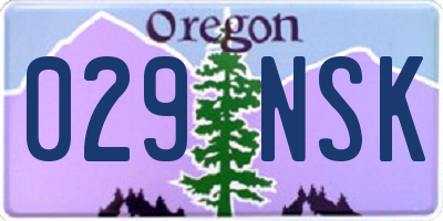 OR license plate 029NSK