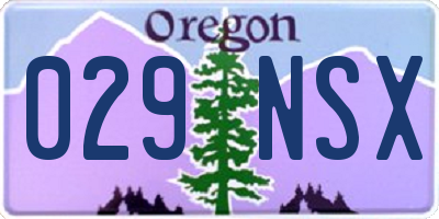 OR license plate 029NSX