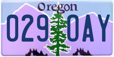 OR license plate 029OAY