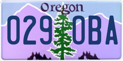 OR license plate 029OBA