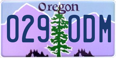 OR license plate 029ODM