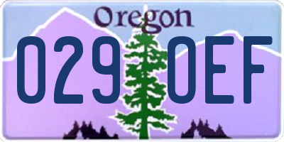 OR license plate 029OEF