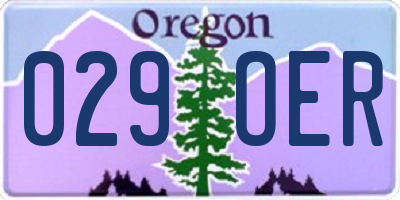 OR license plate 029OER