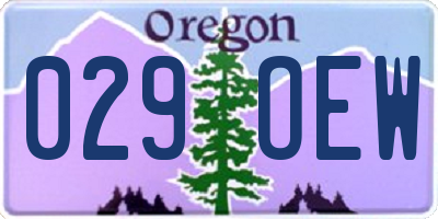 OR license plate 029OEW