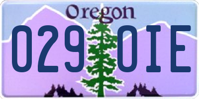 OR license plate 029OIE