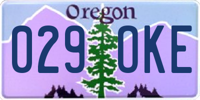 OR license plate 029OKE