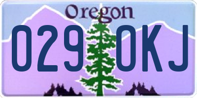 OR license plate 029OKJ