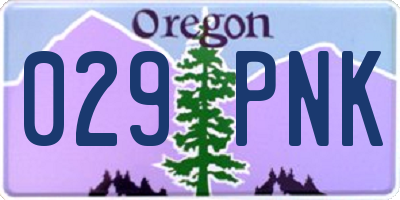 OR license plate 029PNK