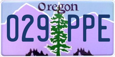 OR license plate 029PPE