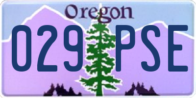 OR license plate 029PSE
