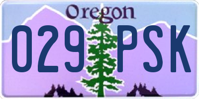 OR license plate 029PSK
