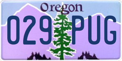 OR license plate 029PUG