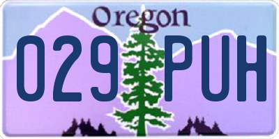 OR license plate 029PUH