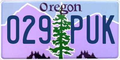 OR license plate 029PUK