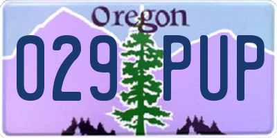 OR license plate 029PUP