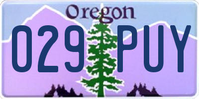 OR license plate 029PUY