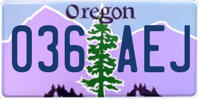 OR license plate 036AEJ