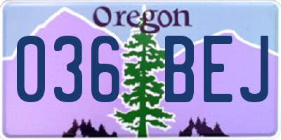 OR license plate 036BEJ