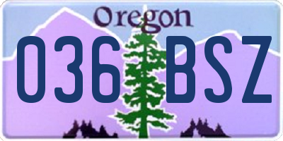 OR license plate 036BSZ