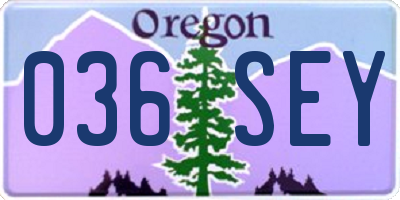 OR license plate 036SEY
