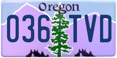 OR license plate 036TVD