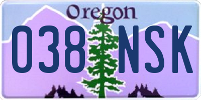 OR license plate 038NSK
