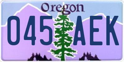 OR license plate 045AEK