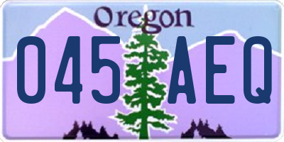 OR license plate 045AEQ