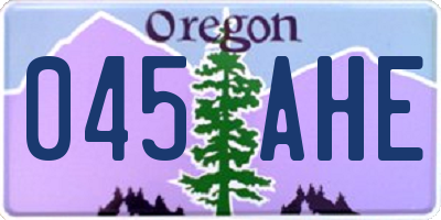 OR license plate 045AHE