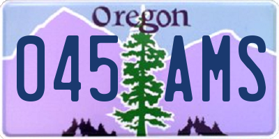 OR license plate 045AMS