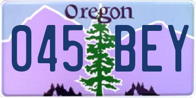 OR license plate 045BEY