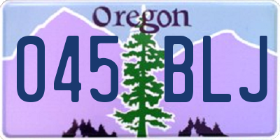 OR license plate 045BLJ